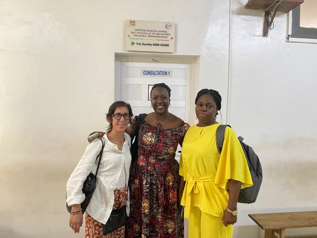 Association Béninoise des Hémophiles | ABH | Traitement Pour Tous ! - Formation internationale en communication et sensibilisation sur l’hémophilie Association Béninoise des Hémophiles | ABH | Traitement Pour Tous ! - Formation internationale en communication et sensibilisation sur l’hémophilie