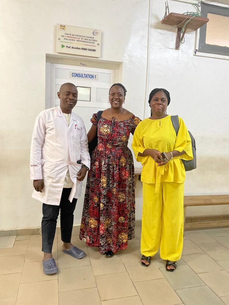 Association Béninoise des Hémophiles | ABH | Traitement Pour Tous ! - Formation internationale en communication et sensibilisation sur l’hémophilie Association Béninoise des Hémophiles | ABH | Traitement Pour Tous ! - Formation internationale en communication et sensibilisation sur l’hémophilie