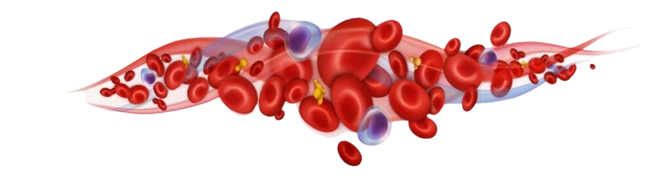 Association Béninoise des Hémophiles | ABH | Traitement Pour Tous ! - Donation