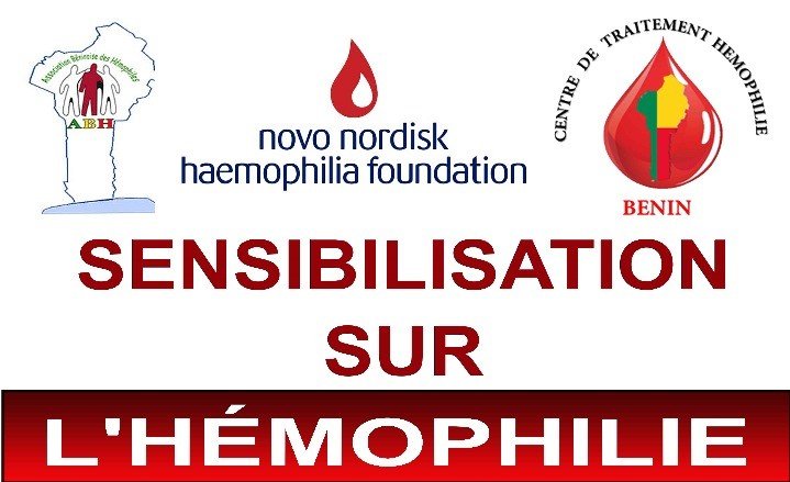 Association Béninoise des Hémophiles | ABH | Traitement Pour Tous ! - Sensibilisation à l’hémophilie – CEG Goho