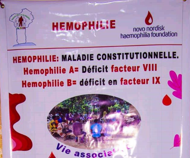 Association Béninoise des Hémophiles | ABH | Traitement Pour Tous ! - Sensibilisation des tradithérapeutes de la commune d’Abomey sur l’hémophilie